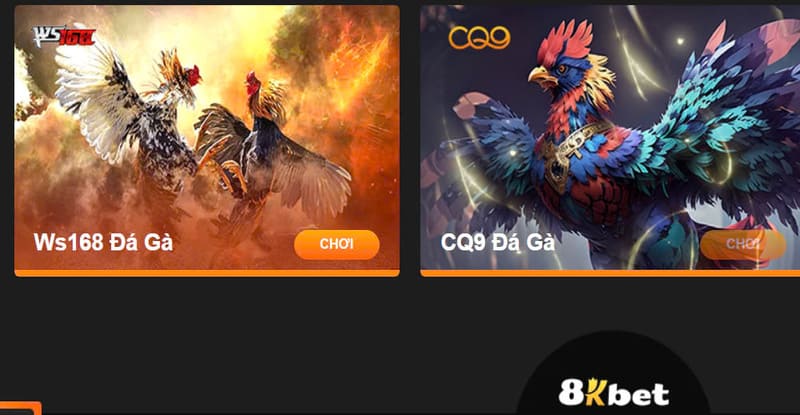 2 sảnh đá gà online HOT tại 8KBET